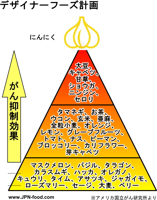 デザイナーフーズプロジェクト計画